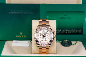 Daytona Rosegold White Indonesia