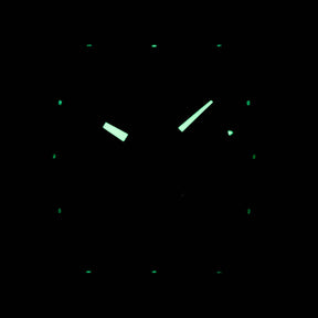 VANGUARD V45 BLACK DIAL (2017)