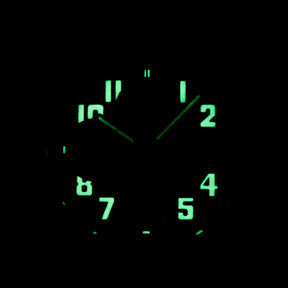 ROYAL OAK OFFSHORE CHRONOGRAPH 42MM 'SINGAPORE GRAND PRIX F1 2008' LIMITED EDITION (WATCH & ARCHIVE PAPER)