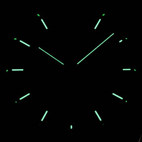 ROYAL OAK DUALTIME (2008)