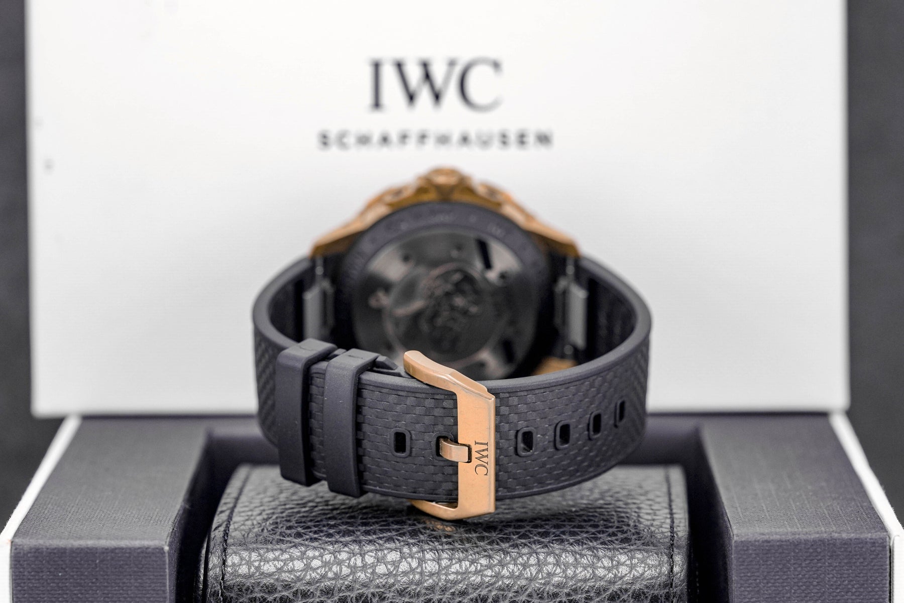 IWC Aquatimer Charles Darwin