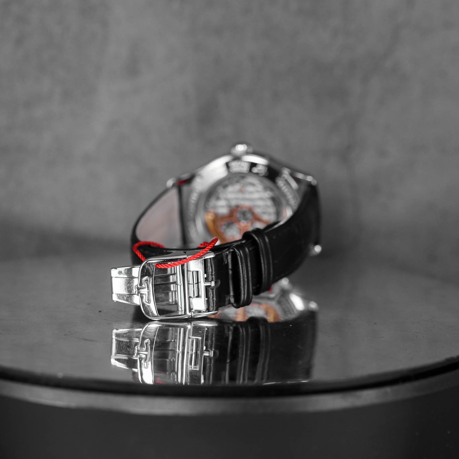 MASTER GEOGRAPHIC SILVER DIAL (2017)