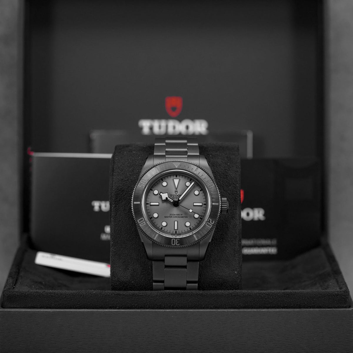 Tudor Black Bay