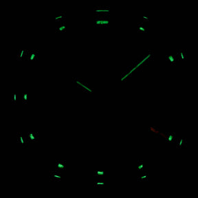 Nautilus Lady 4700/1 Black