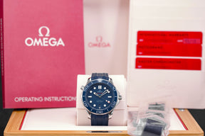 Harga Omega Seamaster Blue