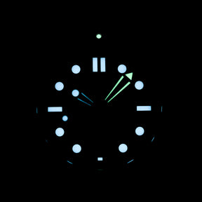 SEAMASTER DIVER 300 BLACK DIAL RUBBER STRAP (2024)