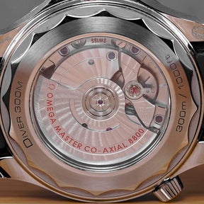 SEAMASTER DIVER 300 BLACK DIAL RUBBER STRAP (2024)