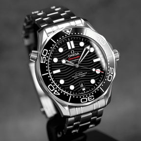 Harga Omega Seamaster Diver 300 Black