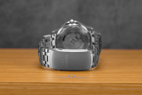 Harga Omega Seamaster Diver 300 Black
