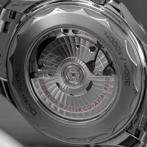 Harga Omega Seamaster Diver 300 Black