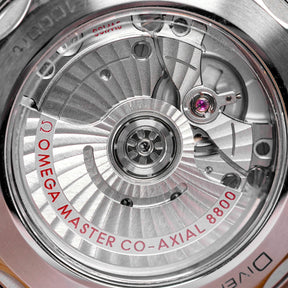 OMEGA SEAMASTER DIVER 300M GREY DIAL (2019) OMNILUXE