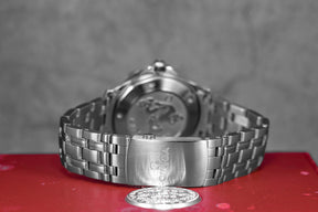 Harga Omega Seamaster Diver 300m Black