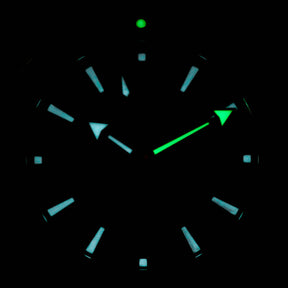 Harga Omega Seamaster Planet Ocean James Bond Skyfall