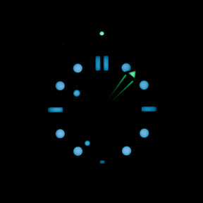 SEAMASTER DIVER 300M TWOTONE SEDNA GOLD BLACK DIAL RUBBER STRAP (2021)