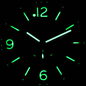 LUMINOR SPECIAL EDITION PAM 028 L (2010)