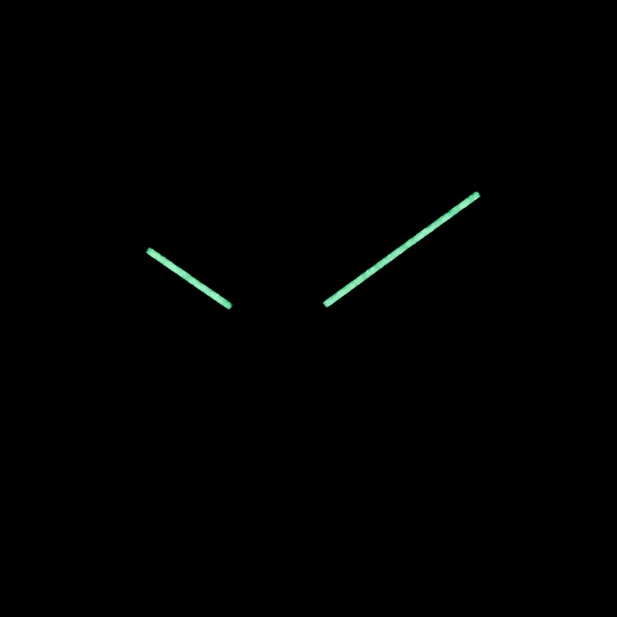 PATEK PHILIPPE COMPLICATIONS