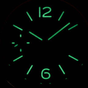 Harga Panerai Luminor Marina PAM 590