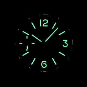 Harga Panerai Luminor PAM 005