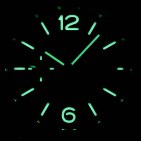 Harga Panerai Luminor PAM 1250
