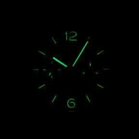 Harga Panerai Luminor PAM 316