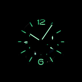 Harga Panerai Luminor PAM 317