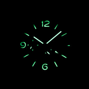 Harga Panerai Luminor PAM 321