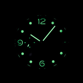 Harga Panerai Luminor PAM 661