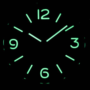 Harga Panerai PAM 560