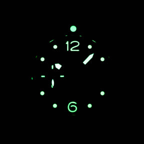 Harga Panerai PAM 616