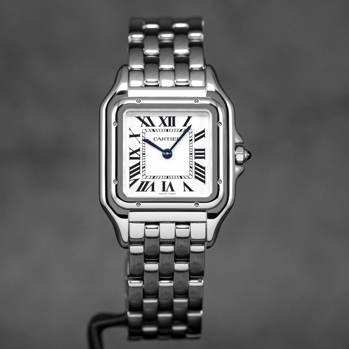 Panthere Steel M Silver