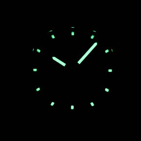 Harga Patek Philippe Aquanaut Luce Green