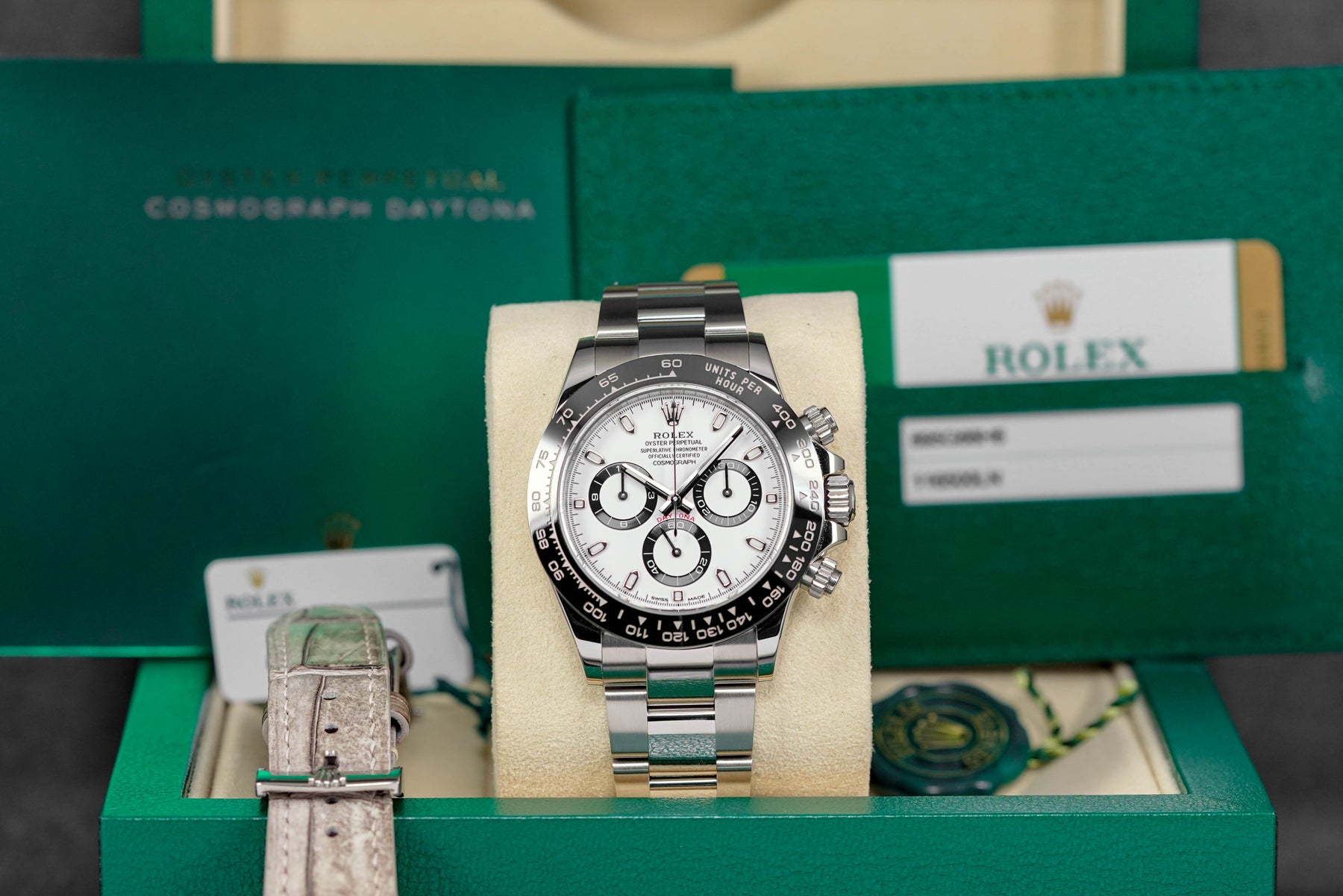 Harga Rolex Daytona White Panda Indonesia