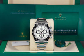 Harga Rolex Daytona White Panda Indonesia