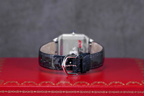 SANTOS DUMONT SMALL QUARTZ SILVER DIAL (2023)