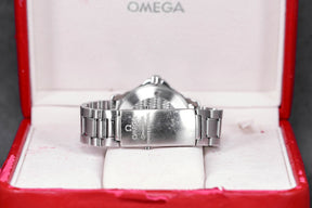 Omega Seamaster 22545000 