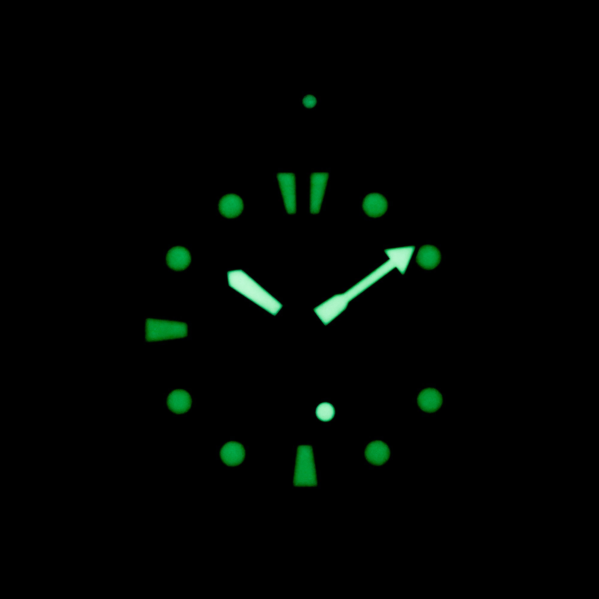 PROSPEX DIVER BLACK JDM 'NINJA TURTLE' LIMITED EDITION (UNDATED)