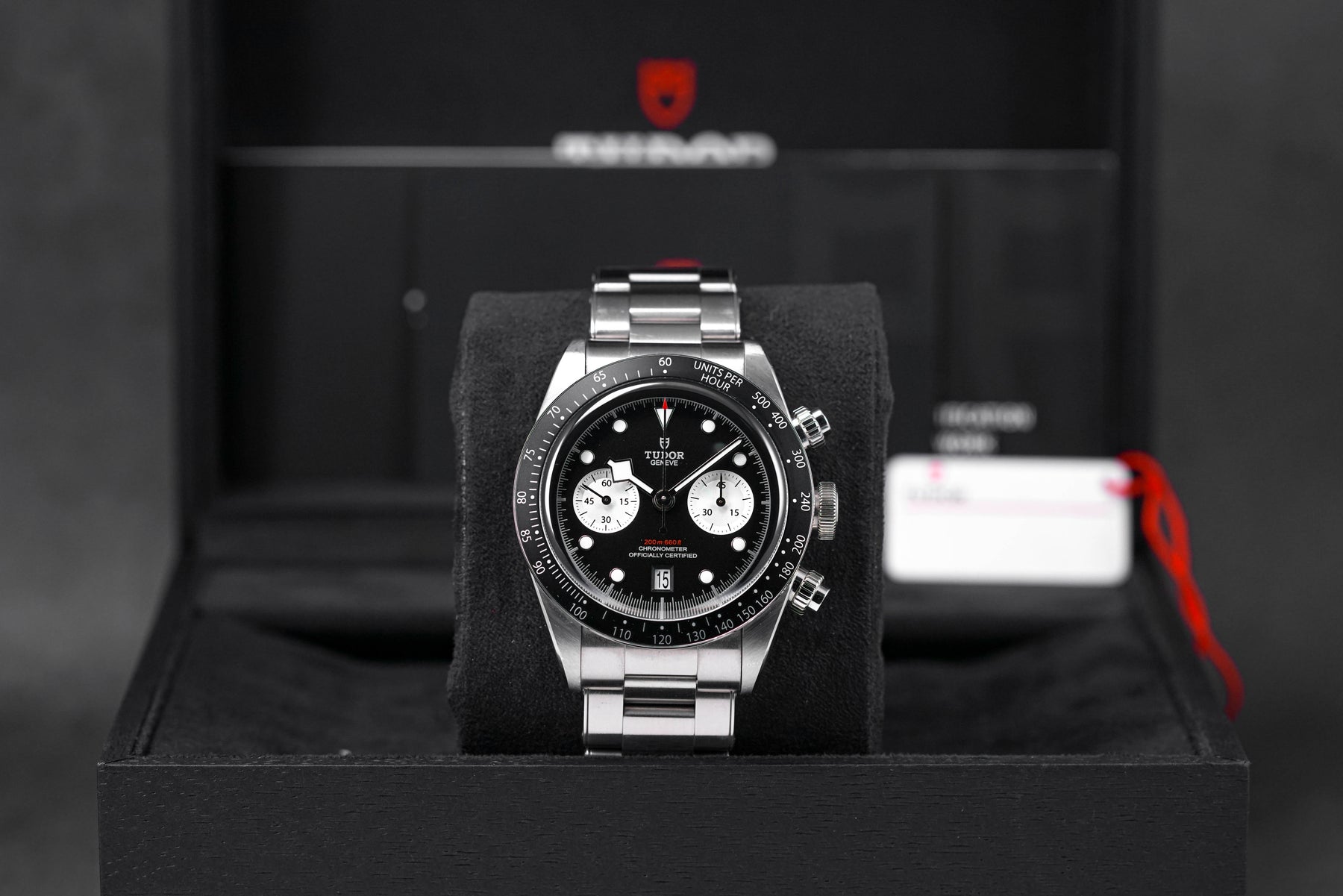 Tudor Blackbay