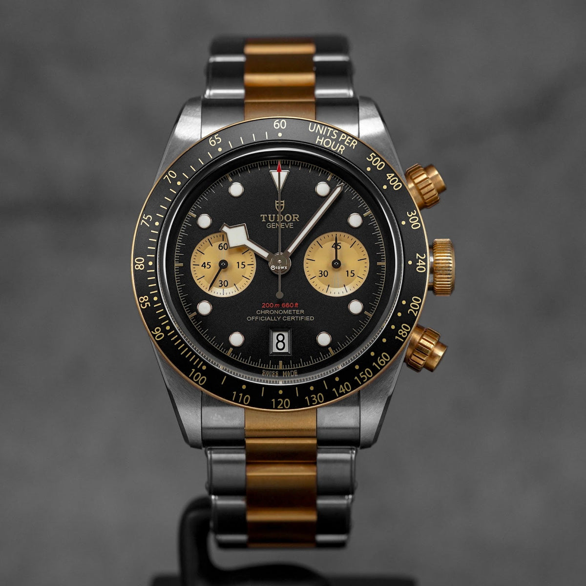 Tudor Black Bay