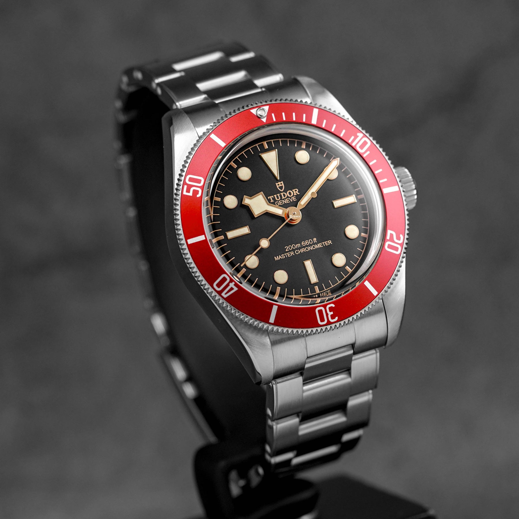 Harga Tudor Black Bay 41 Red Burgundy