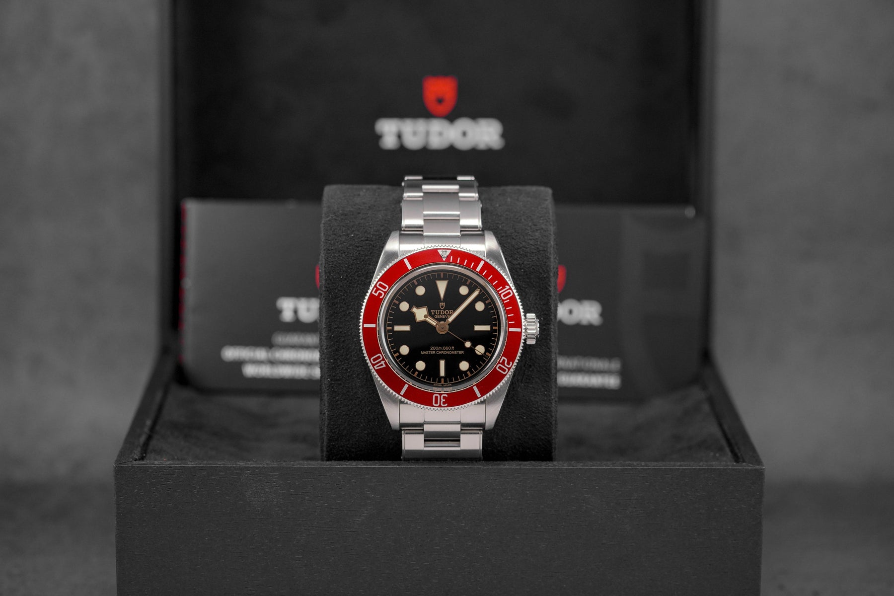 Harga Tudor Black Bay 41 Red Burgundy