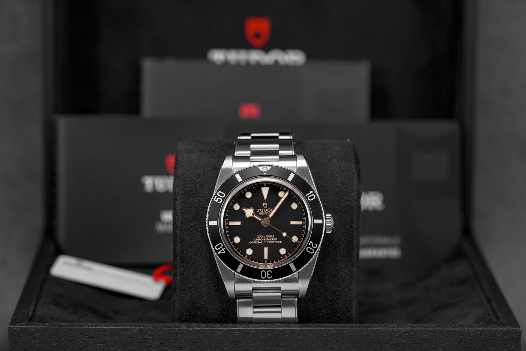 Harga Tudor Black Bay 54 Black