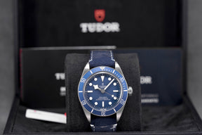 Harga Tudor Black Bay 58 Blue