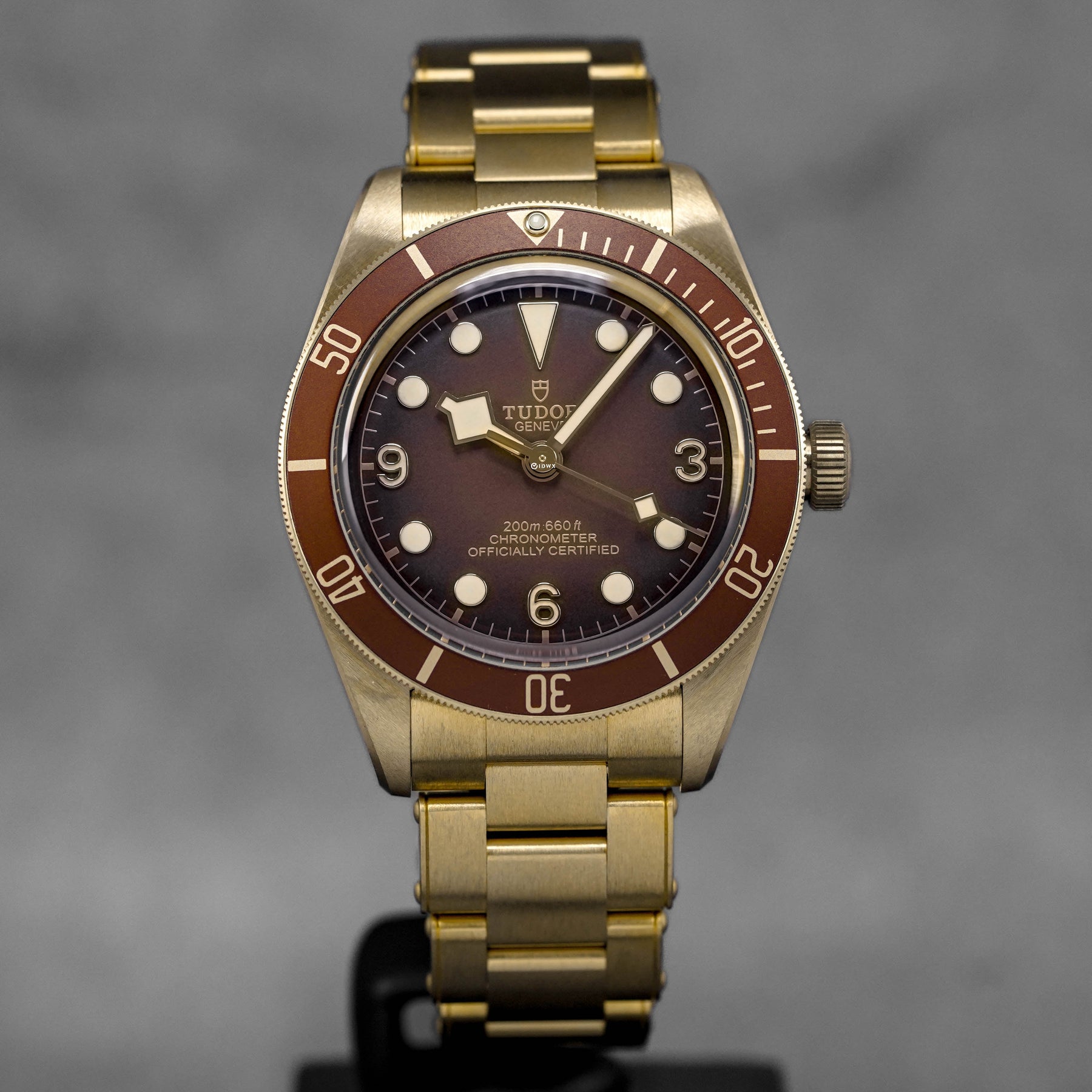 Harga Tudor Black Bay 58 Bronze