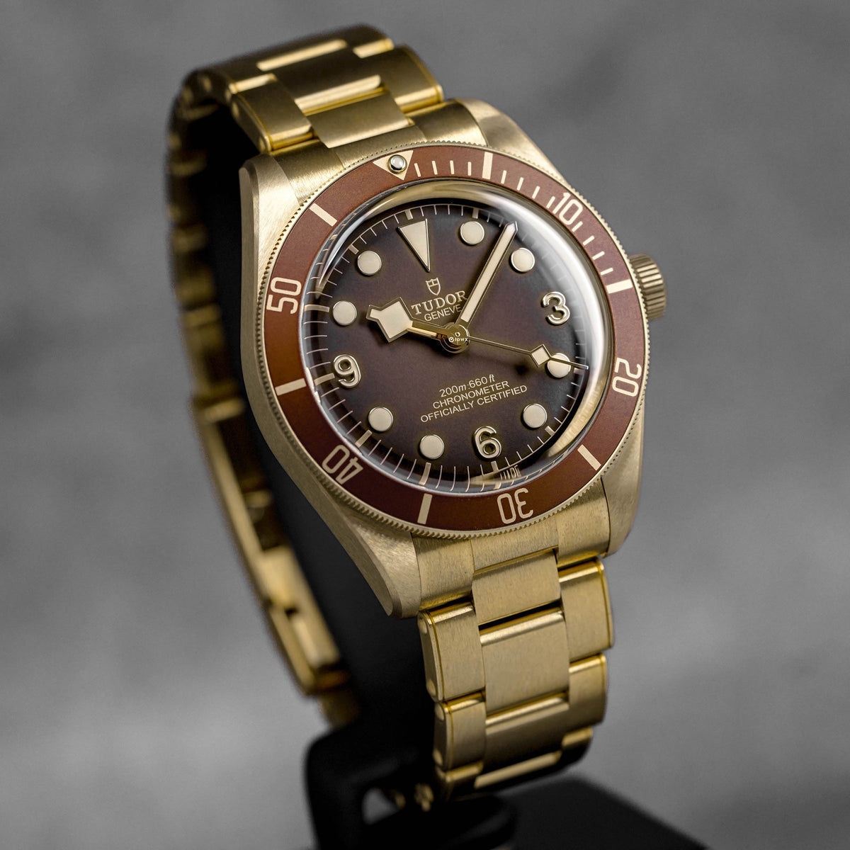 Harga Tudor Black Bay 58 Bronze