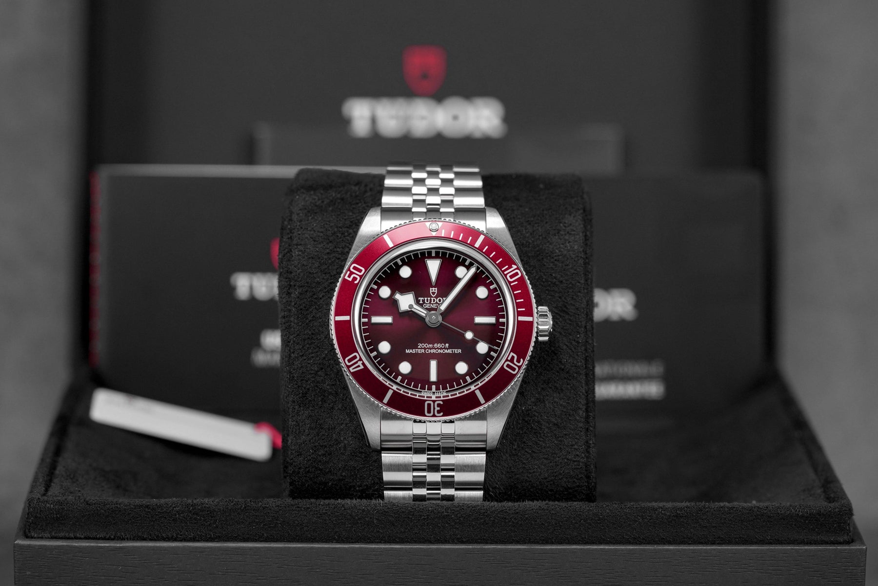 Harga Tudor Black Bay 58 Red Burgundy Jubilee