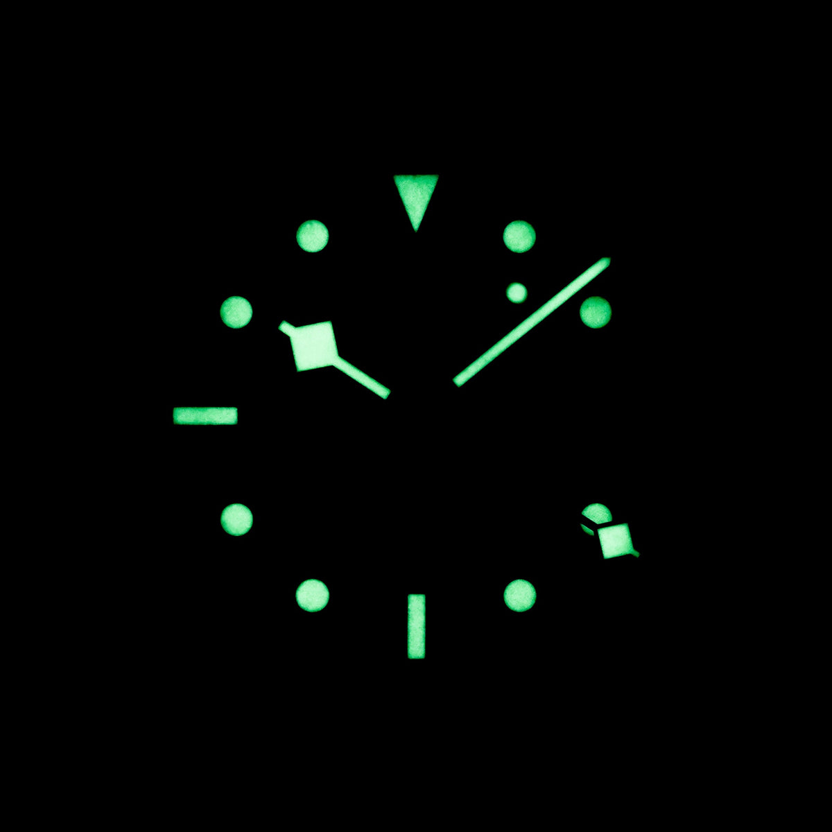 Tudor Black Bay