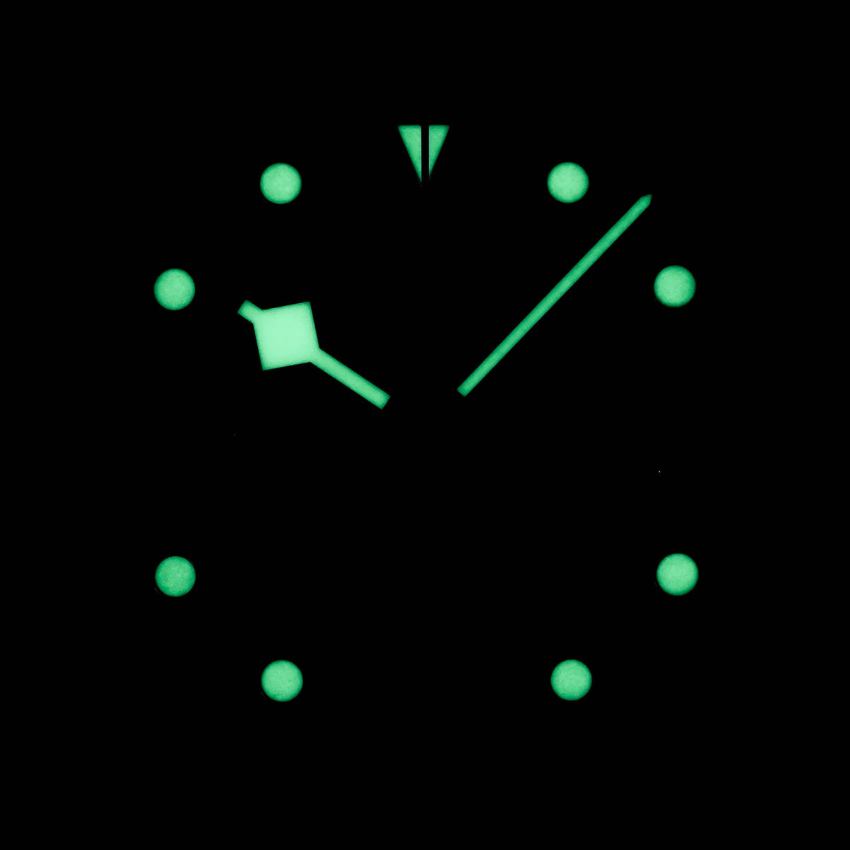 Tudor Black Bay