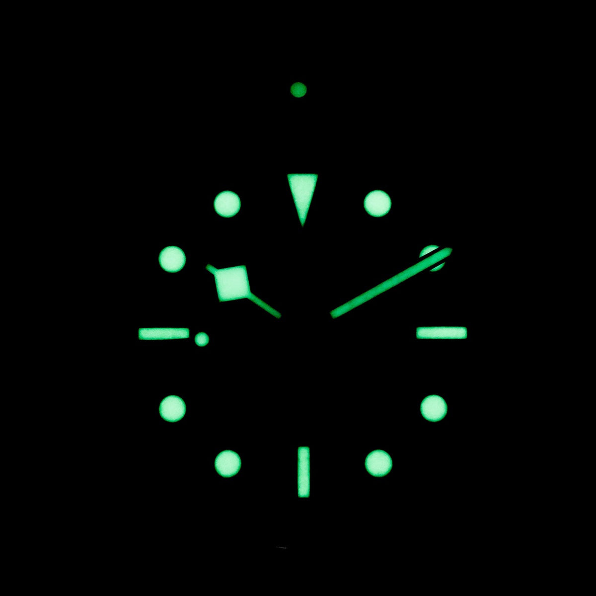 Tudor Black Bay