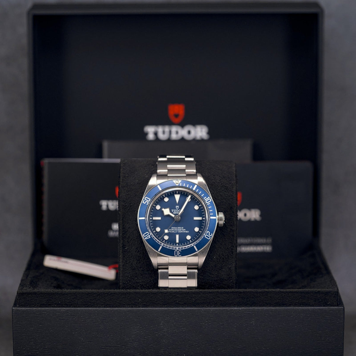 Tudor Black Bay