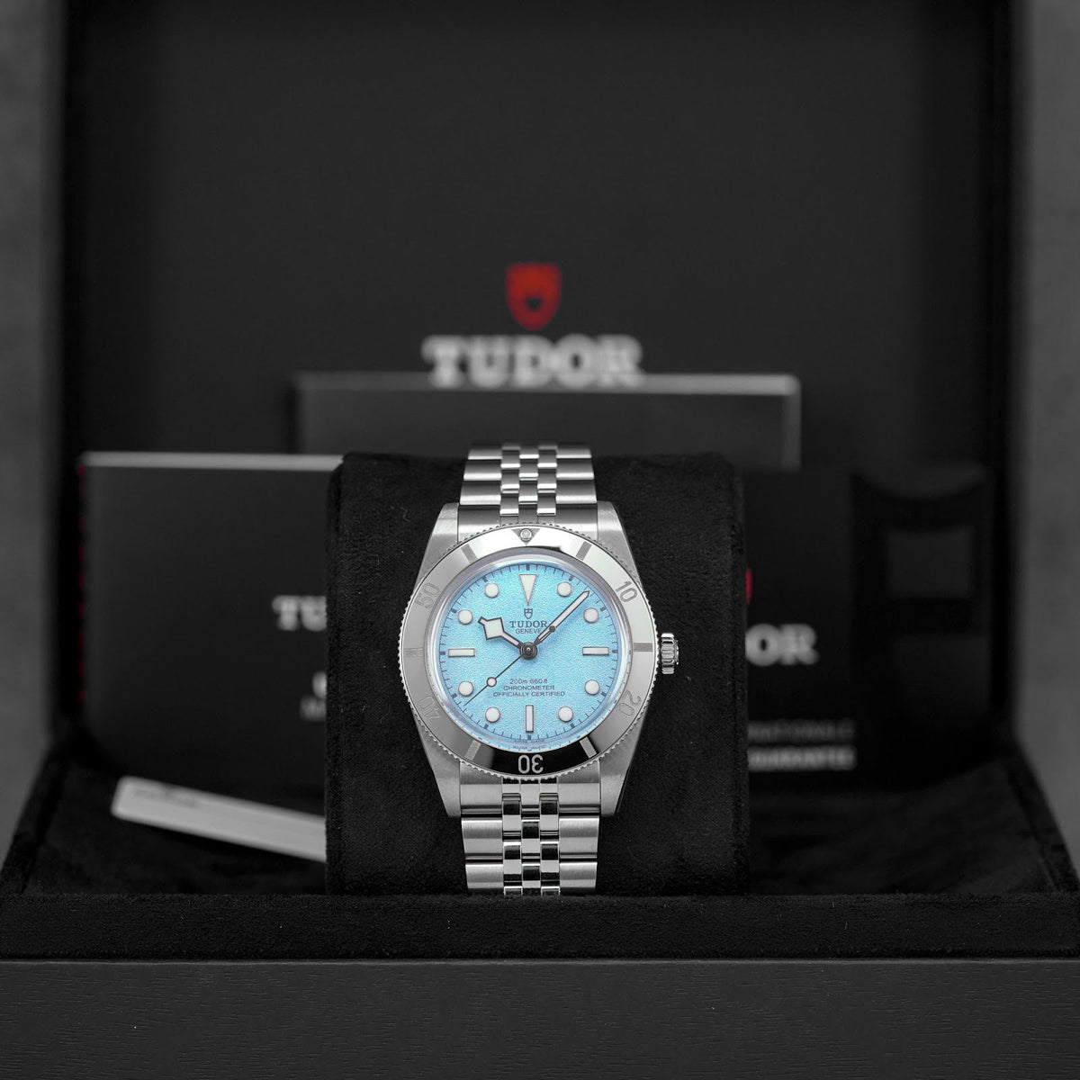 Tudor Black Bay